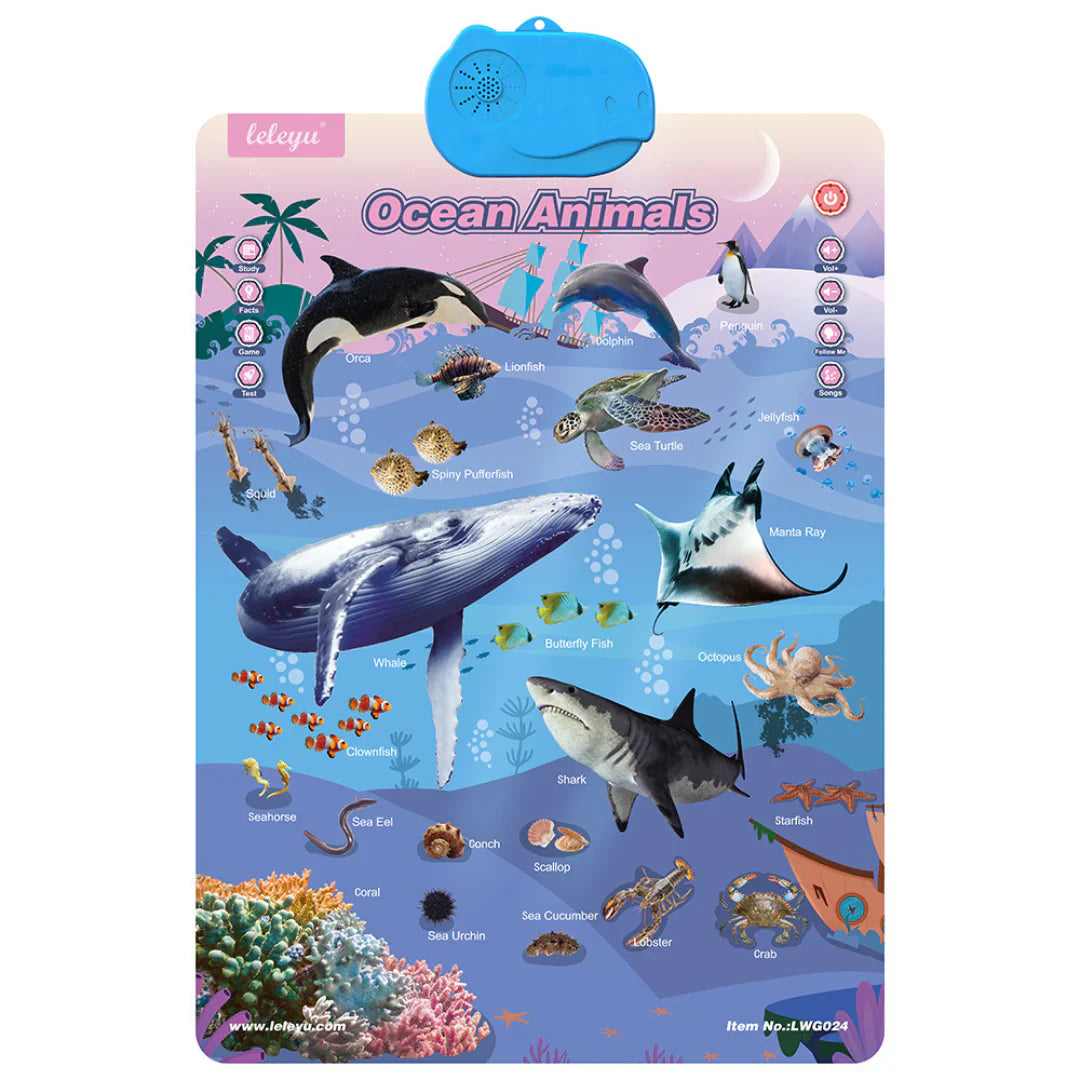 Talking educational board for teaching English to children